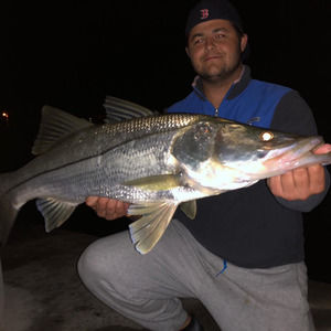 Meet your Posher, Matt